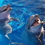 Sole Rosso - Panoramic Aquarium Walk * ジェノヴァ