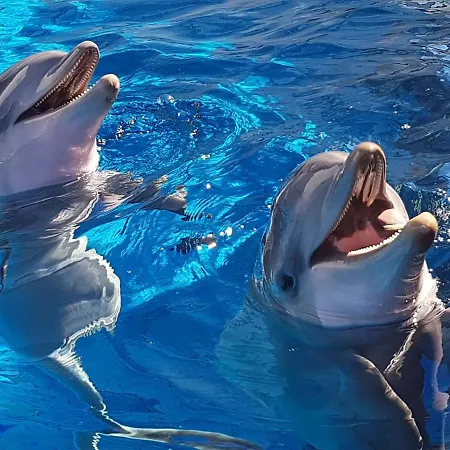 Sole Rosso - Panoramic Aquarium Walk * Génova