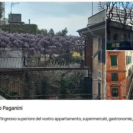 Guest house Sole Rosso