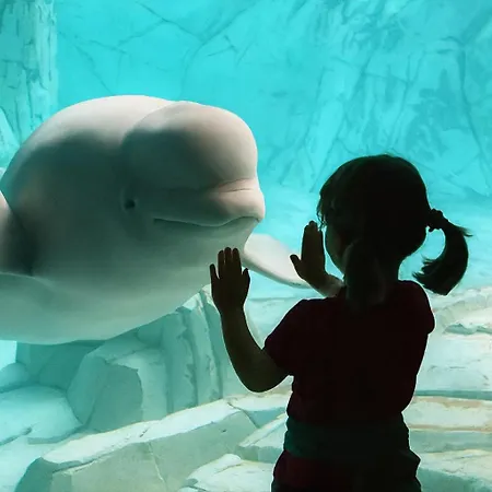 Sole Rosso Acquario Affittacamere