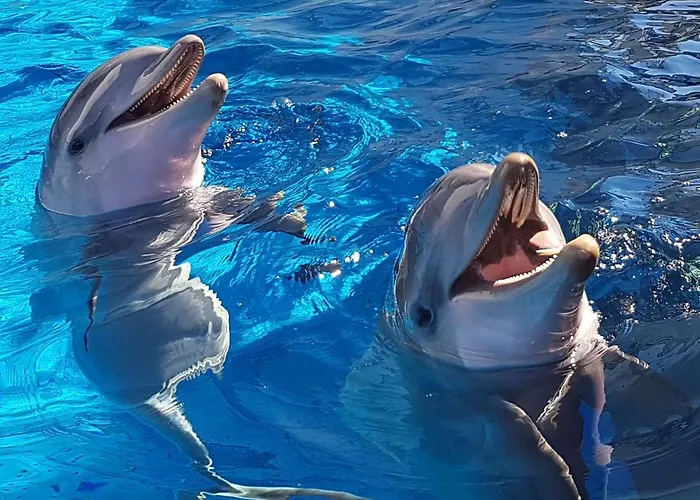 Sole Rosso Acquario * Genova