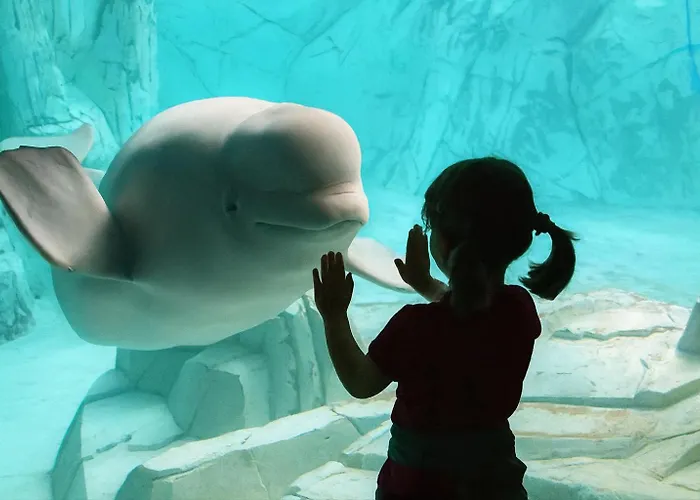 Sole Rosso - Panoramic Aquarium Walk Pensionat